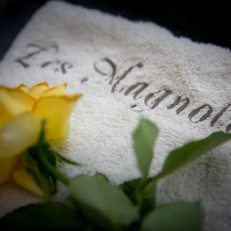 Holiday home Les Magnolias Homes *