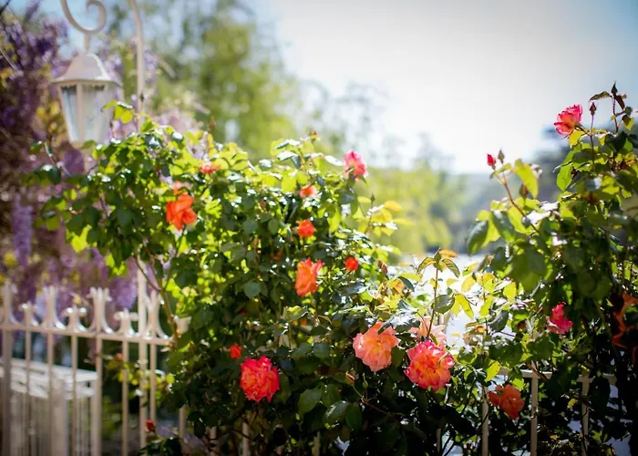 Les Magnolias Homes * Lalinde