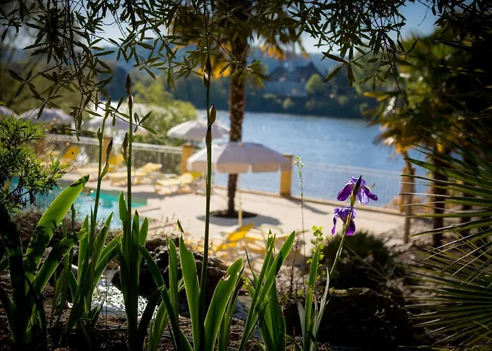 Les Magnolias Homes Hébergement de vacances *